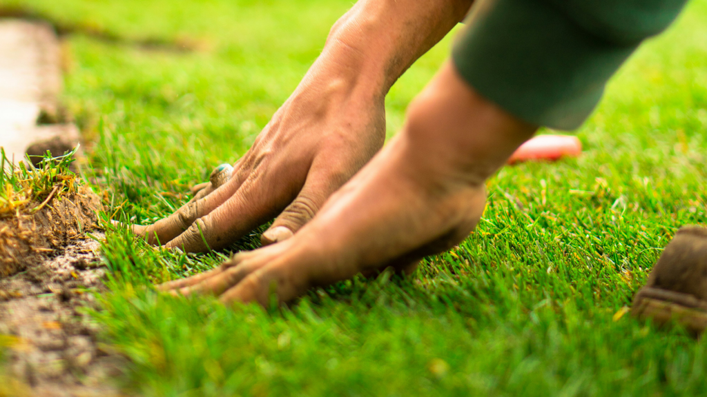 Landscaping 101: Simple Ways to Keep Your Community Looking Its Best
